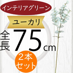 [J tFCNO[  CeAO[ lC A ϗtA  A[gvc lHϗtA A[gO[ lH [J̖ } } ԍ t t t