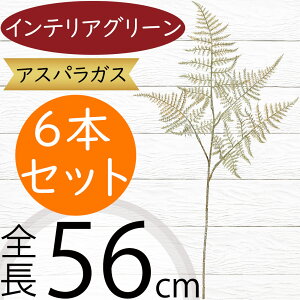 AXpKX tFCNO[  CeAO[ lC A lHϗtA A[gvc  ԍ t } ϗtA A[gO[ lH CeA IuWF Ƌ 