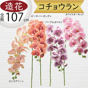 Ӓ  ^  lC Mtg v[g t[AWg j JXj JƏj J@j ړ]j i A[eBtBVt[ R`E I[Lbh 