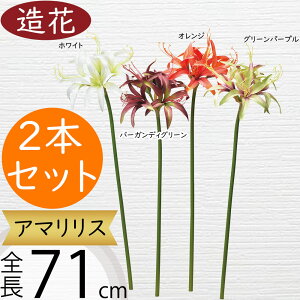 A}X   lC A[eBtBVt[ A A t[AWg fBXvC  ^ 傫 傫 Mtg v[g CeA IuWF G 