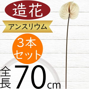 AXE   lC A[eBtBVt[ CeAO[ tFCNO[ A lHϗtA A[gt[ t[AWg fBXvC  ԍ