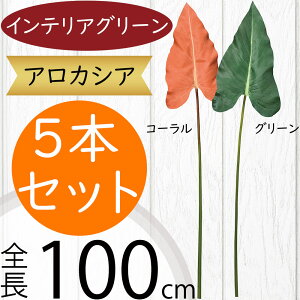 AJVA A}]jJ tFCNO[ lC  CeAO[ A lHϗtA ϗtA  A[gvc A[gO[ CeA IuWF   O