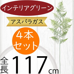 AXpKX tFCNO[ ^  CeAO[ lC A lHϗtA A[gvc  ԍ t ϗtA A[gO[ lH CeA IuWF Ƌ t