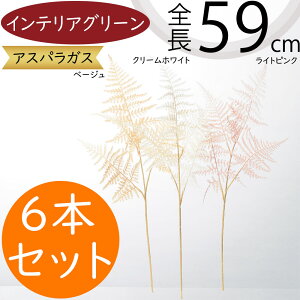 AXpKX tFCNO[  CeAO[ lC A lHϗtA A[gvc  ԍ t } ϗtA A[gO[ lH CeA IuWF Ƌ 