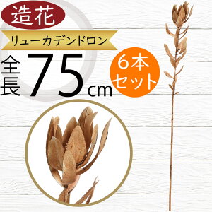 [Jfh   lC A[eBtBVt[ A t[AWg fBXvC  Mtg v[g CeA IuWF G ԍ A[gt[ 