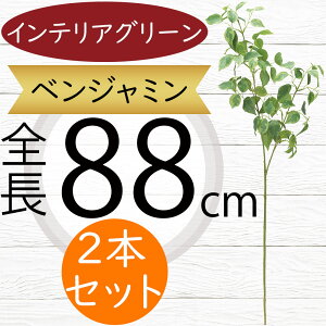 tFCNO[ ^  lC CeAO[ xW~ tBJX A lHϗtA  lH A[gvc A[gO[ xW~i t[AW