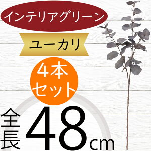 [J tFCNO[  CeAO[ lC A ϗtA  A[gvc lHϗtA A[gO[ lH [J̖ } } ԍ t t t