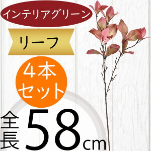 tFCNO[  lC CeAO[ A  lHϗtA ԍ ϗtA A[gvc t[AWg fBXvC  G Ƌ } } t  