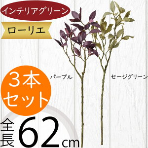 tFCNO[  lC CeAO[ A  lHϗtA ԍ ϗtA A[gvc t[AWg fBXvC  G Ƌ } } t  