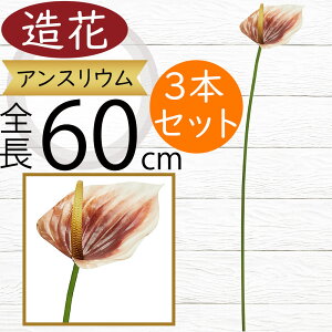 AXE   lC A[eBtBVt[ CeAO[ tFCNO[ A lHϗtA A[gt[ t[AWg fBXvC p 