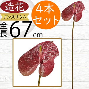 AXE   lC A[eBtBVt[ CeAO[ tFCNO[ A lHϗtA A[gt[ t[AWg fBXvC p 