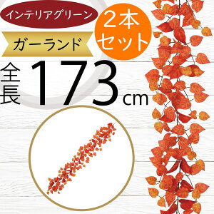 K[h  |gX lC tFCNO[ CeAO[ lHϗtA  A[eBtBVt[ A fR[V fBXvC t ǖʑ V tF