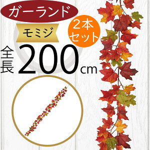 K[h  ~W ݂ lC tFCNO[ CeAO[ lHϗtA  A[eBtBVt[ A fR[V fBXvC t ǖʑ V