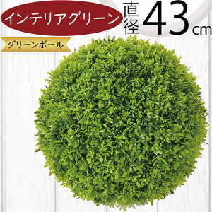 tFCNO[ lC  A O[{[ ϗtA CeAO[ lHϗtA  A[gvc CeA ۂ ی` ی^ ~^ ~` IuWF G Ƌ fBXv