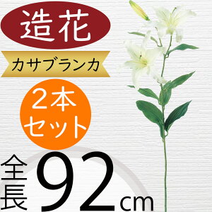 JTuJ  ^  lC A[eBtBVt[ A lHϗtA Mtg v[g t[AWg tFCN fBXvC  CeA IuWF G