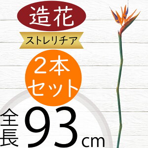 Xg`A Xg`A   lC ^ Ɋy A[eBtBVt[ A A[gt[ lHϗtA t[AWg fBXvC  gsJ 썑