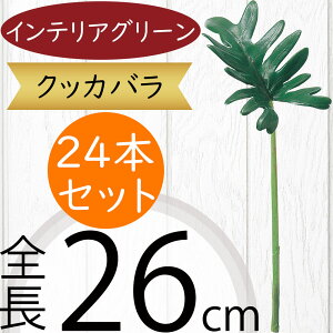 tFCNO[ NbJo  lC A CeAO[ ϗtA lHϗtA  A[gO[  lH  CeA IuWF t[AWg fB