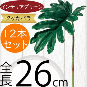 tFCNO[ NbJo  lC A CeAO[ ϗtA lHϗtA  A[gO[  lH  CeA IuWF t[AWg fB