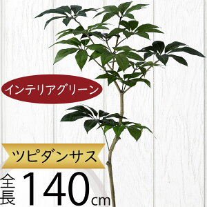 tFCNO[ ^  cs_TX ϗtA A lC CeAO[  lHϗtA   A[gvc A[gO[ CeA  fBXvC