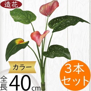  J[  lC  A tFCNO[ CeAO[ ϗtA ԍ lHϗtA A[eBtBVt[ lH AWg { Mtg 