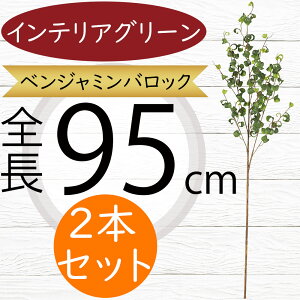 tBJX xW~ obN tFCNO[  ^ lC CeAO[ A lHϗtA  lH A[gvc A[gO[ t[AWg f