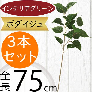 tFCNO[   lC CeAO[ A  lHϗtA ԍ ϗtA A[gvc t[AWg fBXvC  G Ƌ } } 