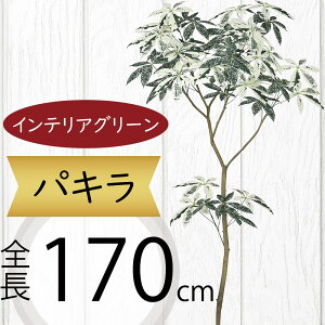 tFCNO[ ^  pL ~L[EFC ϗtA A lC CeAO[  lHϗtA   A[gvc A[gO[ CeA  f