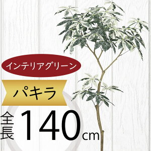 tFCNO[ ^  pL ~L[EFC ϗtA A lC CeAO[  lHϗtA   A[gvc A[gO[ CeA  f