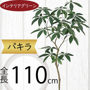 tFCNO[ ^  pL ϗtA A lC CeAO[  lHϗtA lH  A[gvc A[gO[ CeA  fBXvC 