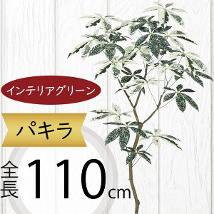 tFCNO[ ^  pL ~L[EFC ϗtA A lC CeAO[  lHϗtA   A[gvc A[gO[ CeA  f