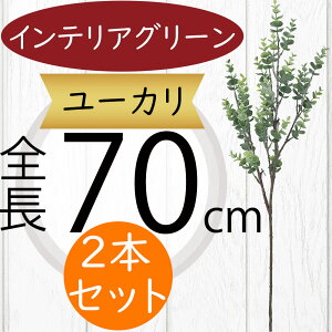 [J tFCNO[  CeAO[ lC A ϗtA  A[gvc lHϗtA A[gO[ lH [J̖ } } ԍ t t t