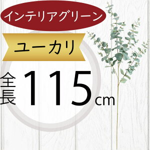 [J ^ tFCNO[  CeAO[ lC A ϗtA  A[gvc lHϗtA A[gO[ lH [J̖ } } ԍ t t