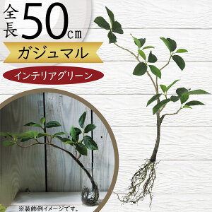 ガジュマル フェイクグリーン おしゃれ 人気 インテリアグリーン リアル 人工観葉植物 人工樹木 アートプランツ オブジェ 造花 アートグリーン フラワーアレンジメント ディスプレイ 装飾
