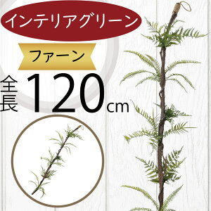 tFCNO[ ^  lC CeAO[ A lHϗtA lH A[gvc IuWF  A[gO[ t[AWg fBXvC  ԍ t