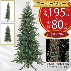 NX}Xc[ ^ R[i[c[  lC tFCNO[ CeAO[ lHϗtA  lH A CeA Ƌ u G IuWF Mtg fBXvC 