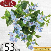 楽天市場】ブーゲンビリア 花の通販