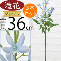 楽天市場】ジャスミン 鉢植え（カラーブルー）の通販