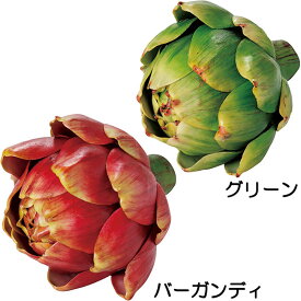 楽天市場 人工観葉植物 種類 植物 アーティチョーク 造花 人工観葉植物 花 観葉植物 花 ガーデン Diyの通販 楽天市場 人工観葉植物 種類 植物 アーティチョーク 造花 人工観葉植物 花 観葉植物 花 ガーデン Diyの通販
