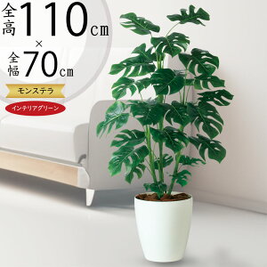 tFCNO[ Xe  lC  A CeAO[ ^ ~hTCY lHϗtA lH  CeA IuWF { ChAO[ 썑