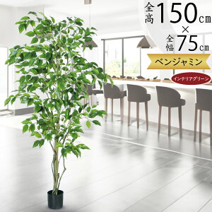 tFCNO[  lC xW~ tBJX xW~i CeAO[ ϗtA lHϗtA  lH A[gO[ CeA IuWF  Mtg i 