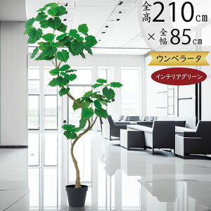 �E���x���[�^ �t�F�C�N�O���[�� ��^ ������� �ϗt�A�� ���A�� �l�C �C���e���A�O���[�� �������� �l�H�ϗt�A�� �l�H���� ���� �A�[�g�O���[�� �C���e���A ���� �傫�� ������ ���� �f�B�X