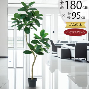 tFCNO[ S̖ ^  lC A CeAO[ CeA Ƌ lHϗtA lH ϗtA  rO Q X ItBX Vzj JXj Mtg 