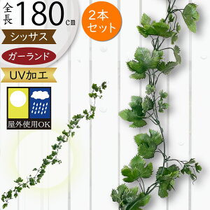 K[h  tFCNO[ Op OɂΉ UV lC  A VbTX CeAO[ lHϗt  c^  ǖ ݂邷   tFX K[f Cx