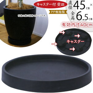 LX^[\[T[  Jo[p v^[p M \[T[ M 󂯎M ubN  PP ϗtA CeAO[  | K[fjO ANZT[   tA 