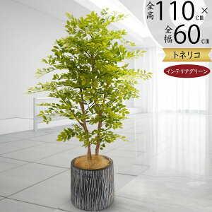 tFCNO[  lC A  glR V}glR CeAO[  lHϗtA lH A[gO[ IuWF ~h ^  rO X ItB