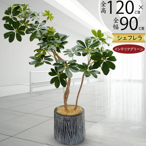 tFCNO[  VFt J|bN ϗtA CeAO[ A lC  lHϗtA  lH A[gO[ ~h Ƌ IuWF CeA  