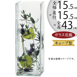 ガラス花瓶 大型 おしゃれ 人気 フラワーベース 花器 花瓶 ガラス花器 ガラス キューブ 四角 角型 トール 縦長 インテリア 透明 クリア 硝子 花入れ フラワーアレンジメント 観葉植物 花束 ブ