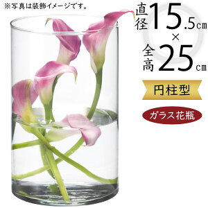 ガラス花瓶 おしゃれ 人気 フラワーベース 花器 花瓶 ガラス花器 ガラス シリンダー 円柱 筒型 筒形 インテリア 透明 クリア 硝子 花入れ フラワーアレンジメント 花 緑 花束 ブーケ ディスプ
