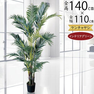 V̖ P`V tFCNO[  lC  A CeAO[ V ϗtA lHϗtA lH  IuWF CeA Vzj JXj Mtg 