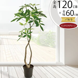 pL tFCNO[ ϗtA lC  CeAO[ A  CeA  lHϗtA lH A[gO[ A[gvc IuWF Ƌ Mtg Vz